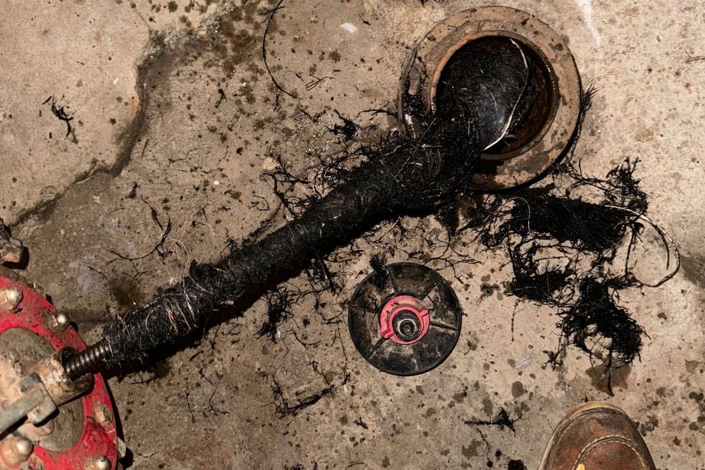 Drain Cleaning With Drain Master