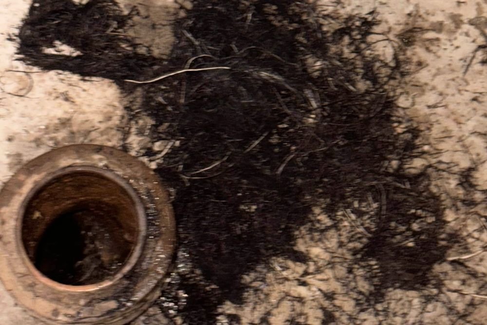 Drain Cleaning With Drain Master
